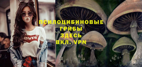 МДМА Армянск