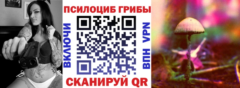 мориарти какой сайт  Райчихинск  Псилоцибиновые грибы MAGIC MUSHROOMS  как найти закладки  omg tor 